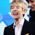 깍쟁이들ㅎㅎ <b>유동</b>으로 와서 설치긴