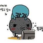 오픽등급때문에.. 억울하고 속상하고..