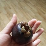 이거 무슨 과일이예요?