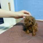 <b>망치</b>의 합정동 적응기!