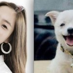 티아라는 고양이과가 아니라는 증거~~보시오