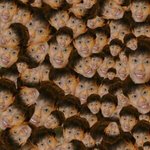 [EXO] 도경수 카톡프사 글에 베플 ㅋㅋㅋㅋㅋㅋㅋㅋㅌ