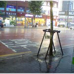 (기억의 습작) * 1995년 오늘 *