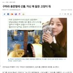 [EXO] ===<b>구하라</b>가용준형한태고양이준거어떻해됌?===