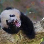 흰양말어떻게벗나요?