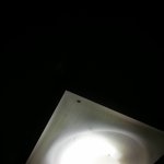 벌레 무서워하는게 죄인가요 ?ㅠㅠ