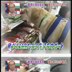 마음으로 보는 <b>사진들</b>..6