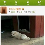 [ 오늘의 유머 ]  배꼽 <b>책임</b> 조심!