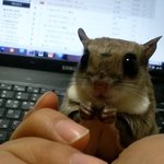 우리집에 <b>피카츄</b>가?? ㅎㅎㅎ