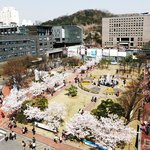 숭실대평생교육원 특급정보 정보보안학과 <b>신설</b> 하다~!!
