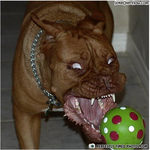 결론은 여러분들을 엑소u로 모십니다.