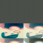 제가사기를당했습니다(사진有)