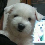 ㅡㅡ...  <b>본사</b>오면 바쁘다더니..