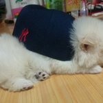 달구야~~~