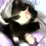 우린.. 무슨사이일까 ?