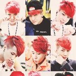 힣이거닭<b>벼슬</b>같다...