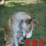 술좀 빨아서 <b>감성</b>적이다