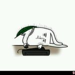 <b>양성</b>평등 지껄일땐