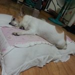 야 <b>이개</b>생퀴야