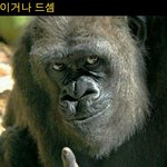 [EXO] 우리징어들 보세요!