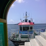 [사진有] 스물 둘 <b>처자</b>의 나홀로 제주도 스쿠터여행 2탄!!!