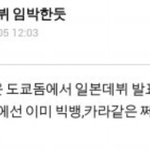 카라,빅뱅욕하는엑소팬