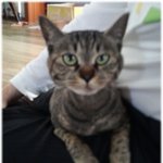 꽁냥꽁냥 김<b>칸쵸</b>5