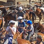 막내딸 빼고 단체로 승마 하는 <b>베컴</b>네