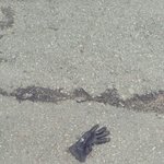 우리집앞에 온 그