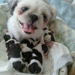 하늘이와 아가야들  ( 2 )