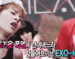 [EXO] 슈밍 이<b>시키</b> 구ㅏ여운것