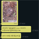동물박사가 꿈인 <b>남치</b>니의 동물구조이야기