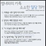 썸녀랑 카톡, 남자 밀당의 솔직한 이야기