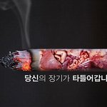 청소년 <b>금연</b>운동을 도와주세요!