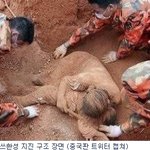 <b>대륙</b>을 눈물바다로 만든 사진