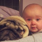 아기와 <b>동물</b> 14