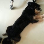 울 <b>알루</b> 병있는거 아니져?