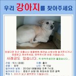 서울 <b>중랑구</b> 상봉동에서 소중한 아가를 잃어버렸습니다