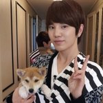 강아지와 함께한 아이돌의 귀여운 사진들
