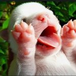 나에겐 가장 무서운 존재.. 3