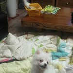 <b>사진찍</b>을줄암