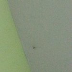 <b>야심</b>한밤...스파이더맨이 찾아왓어요..^^;;