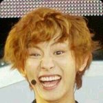 [EXO] 나 어느팬덤인지 안<b>궁금</b>해요??