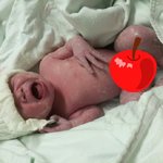 칼라 동생 <b>벨라</b>가 태어났어요