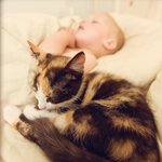 [팔부] 아기와 <b>동물</b> 15