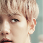 [EXO] ㅋㅋㅋㅋㅋㅋㅋ할말이없다