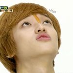 [틴탑] 긴생그주간아는씹덕인게
