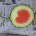 하트<b>수박</b>을아시나요?