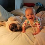 [팔부] 아기와 <b>동물</b> 16