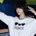 엑소 차뇰이랑 <b>설리</b>년 새로운증거[ㅋㅋ대박임]
